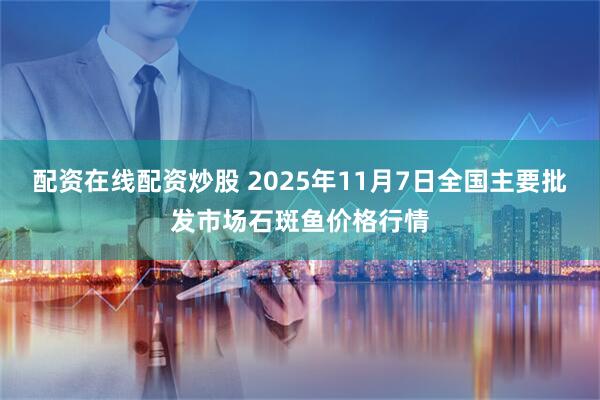 配资在线配资炒股 2025年11月7日全国主要批发市场石斑鱼价格行情