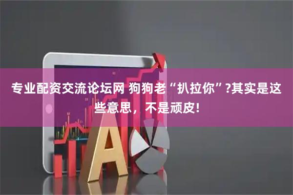 专业配资交流论坛网 狗狗老“扒拉你”?其实是这些意思，不是顽皮!